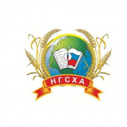Проекты 4
